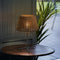 Outdoor 13.77 inch Wicker Shade Rustic Iron Table Lamp