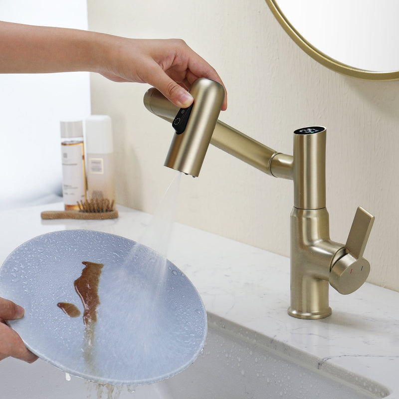 Lefton Single-Hole Rotatable Faucet with Temperature Display-BF2204