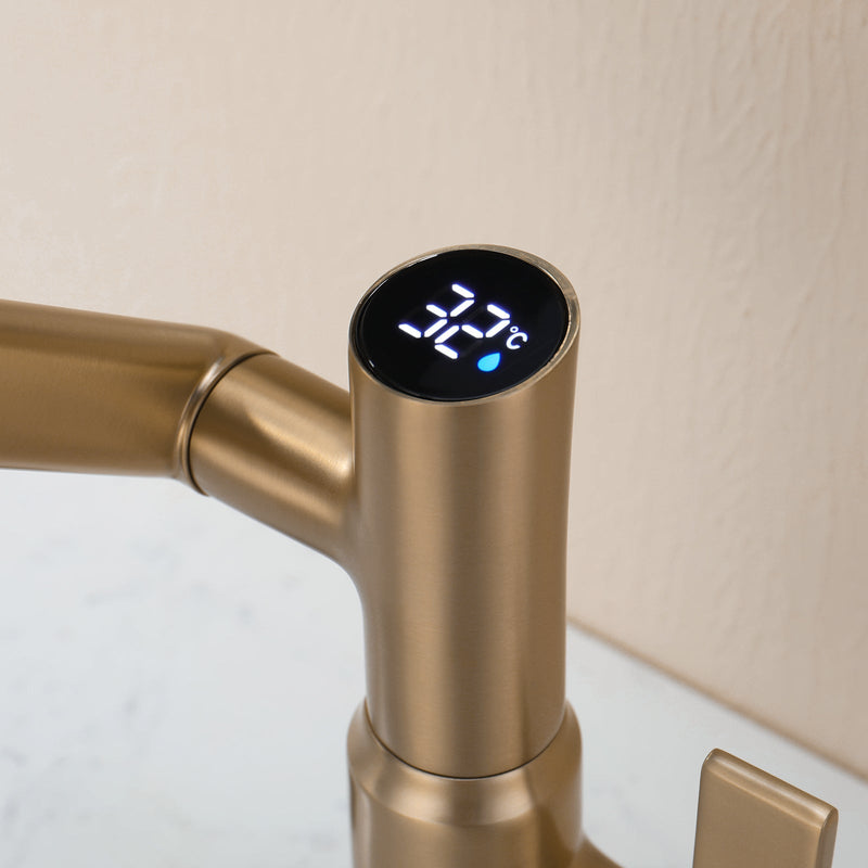 Lefton Single-Hole Rotatable Faucet with Temperature Display-BF2204