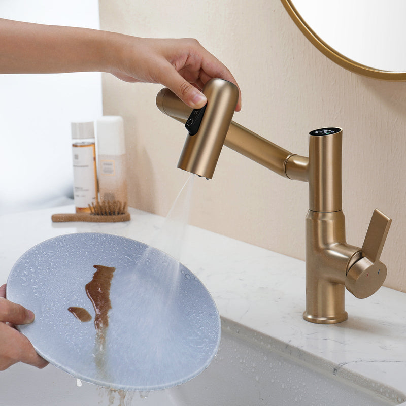 Lefton Single-Hole Rotatable Faucet with Temperature Display-BF2204