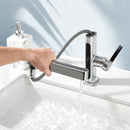 Lefton Single-Hole Pull-Out Faucet with Temperature Display-BF2206