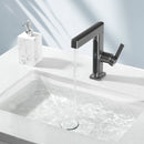 Lefton Single-Hole Pull-Out Faucet with Temperature Display-BF2206