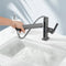 Lefton Single-Hole Pull-Out Faucet with Temperature Display-BF2206