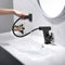 Lefton Pull-Out Faucet with Temperature Display & LED Light - BF2207