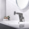 Lefton Pull-Out Faucet with Temperature Display & LED Light - BF2207