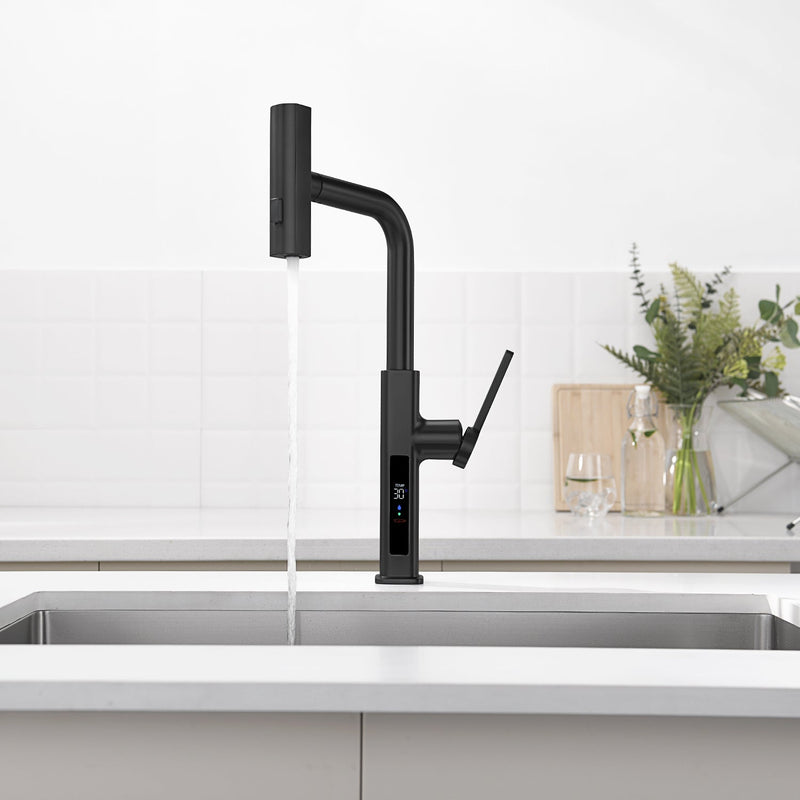 Lefton Waterfall & Pull-Out Kitchen Faucet with Temperature Display-KF2209