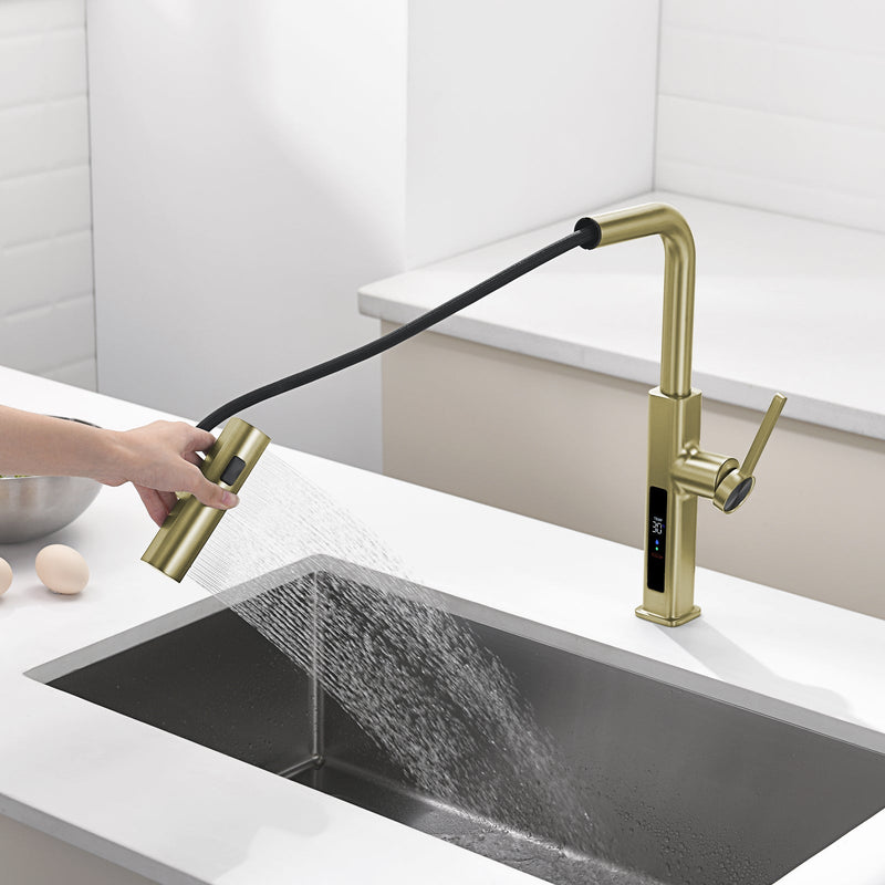 Lefton Waterfall & Pull-Out Kitchen Faucet with Temperature Display-KF2209