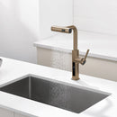 Lefton Waterfall & Pull-Out Kitchen Faucet with Temperature Display-KF2209