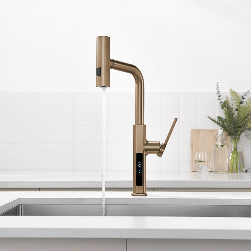 Lefton Waterfall & Pull-Out Kitchen Faucet with Temperature Display-KF2209