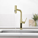 Lefton Waterfall & Pull-Out Kitchen Faucet with Temperature Display-KF2209